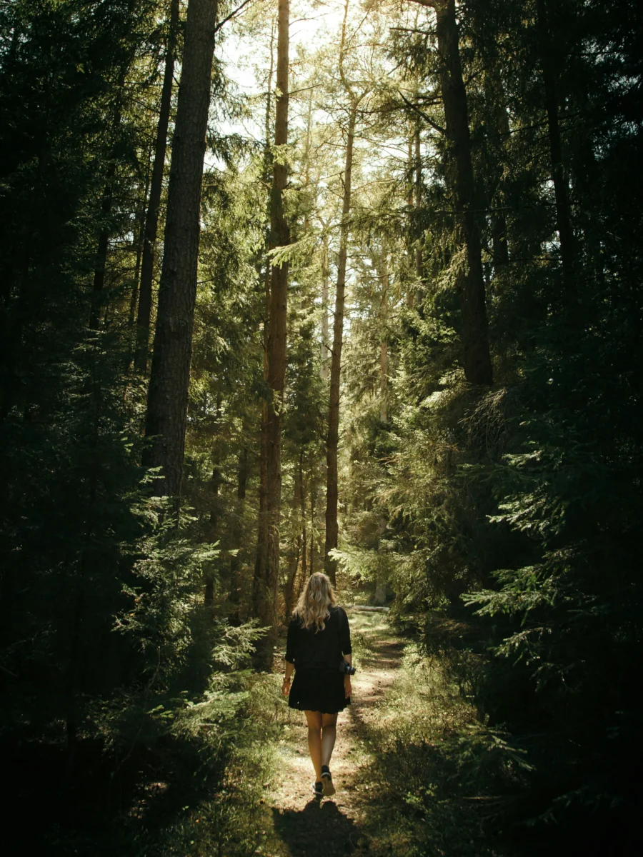 Constructive Parenting Inner Child Work Constructive Parenting Inner Child Work